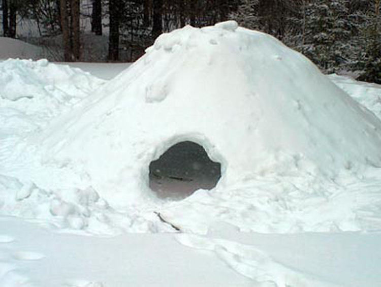 Snow Mound Shelter