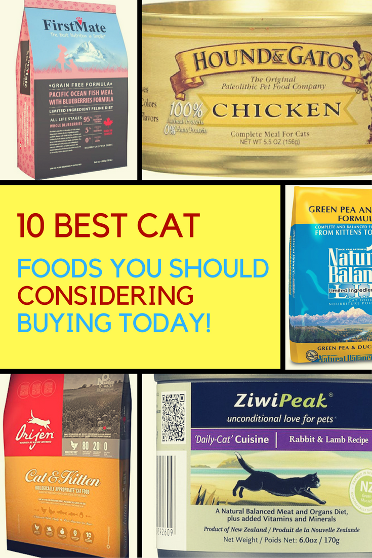 10 Best Cat Foods That You Should Buy Today. | Ideahacks.com