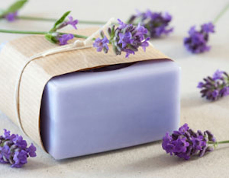 Rosemary Lavender Soap Recipe
