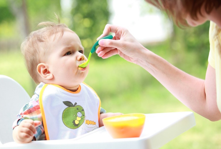 Best Baby Food Makers Reviews