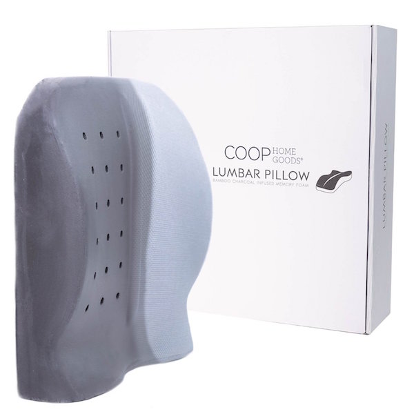 Coop Home Goods Bamboo Charcoal Infused Memory Foam Orthopedic Lumbar Cushion Pillow