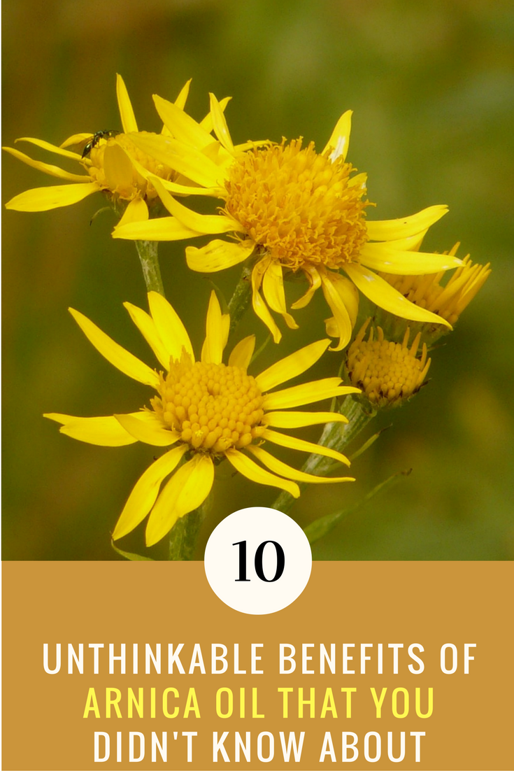10 Unthinking Benefits of Arnica Oil That You Didn't Know. | Ideahacks.com