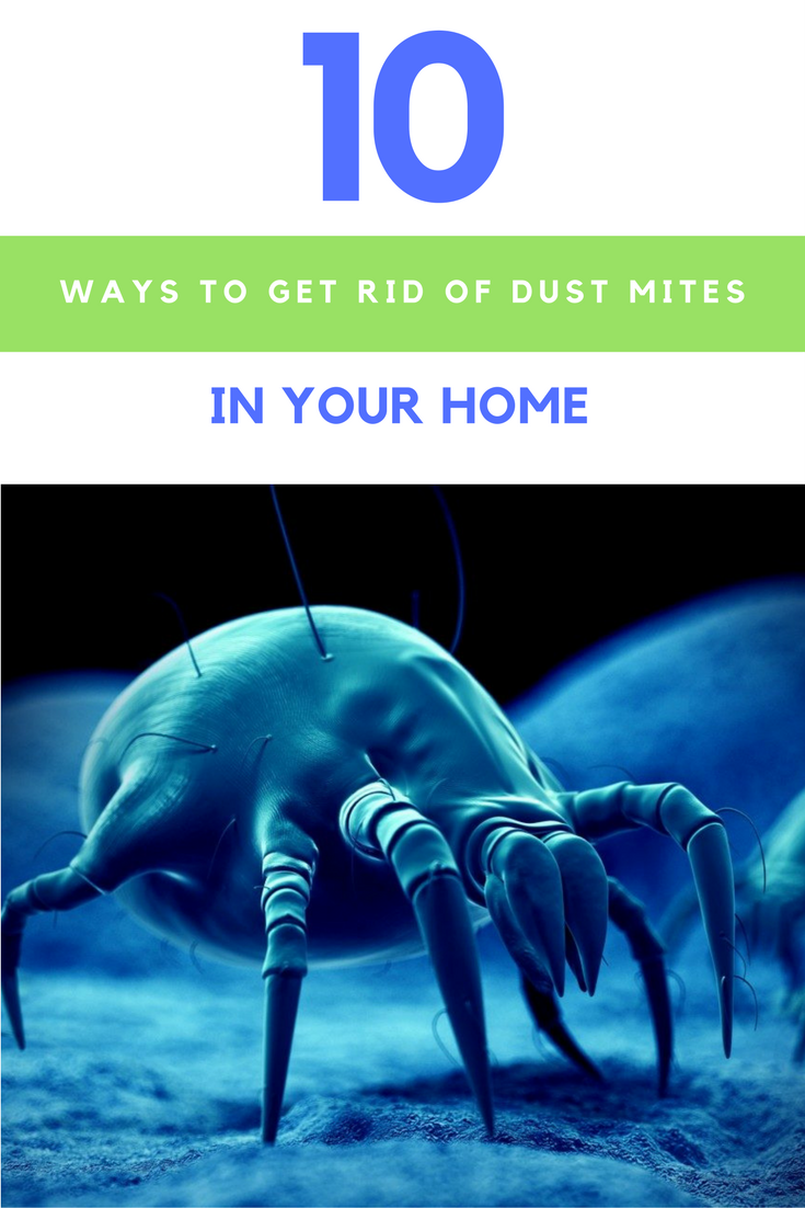 10 Ways To Get Rid Of Dust Mites Without Using Harmful Chemicals. | Ideahacks.com