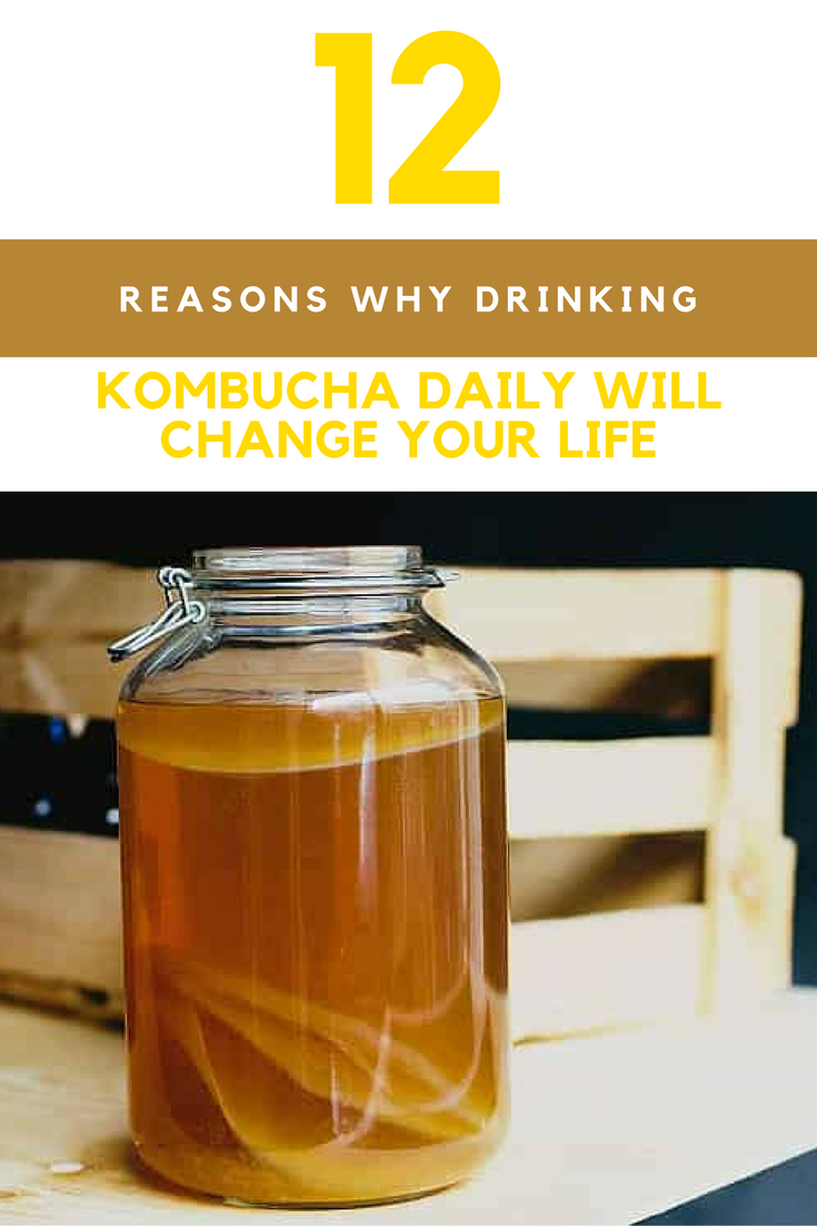 Kombucha Benefits: 12 Reasons Why Drinking It Daily Will Change Your Life