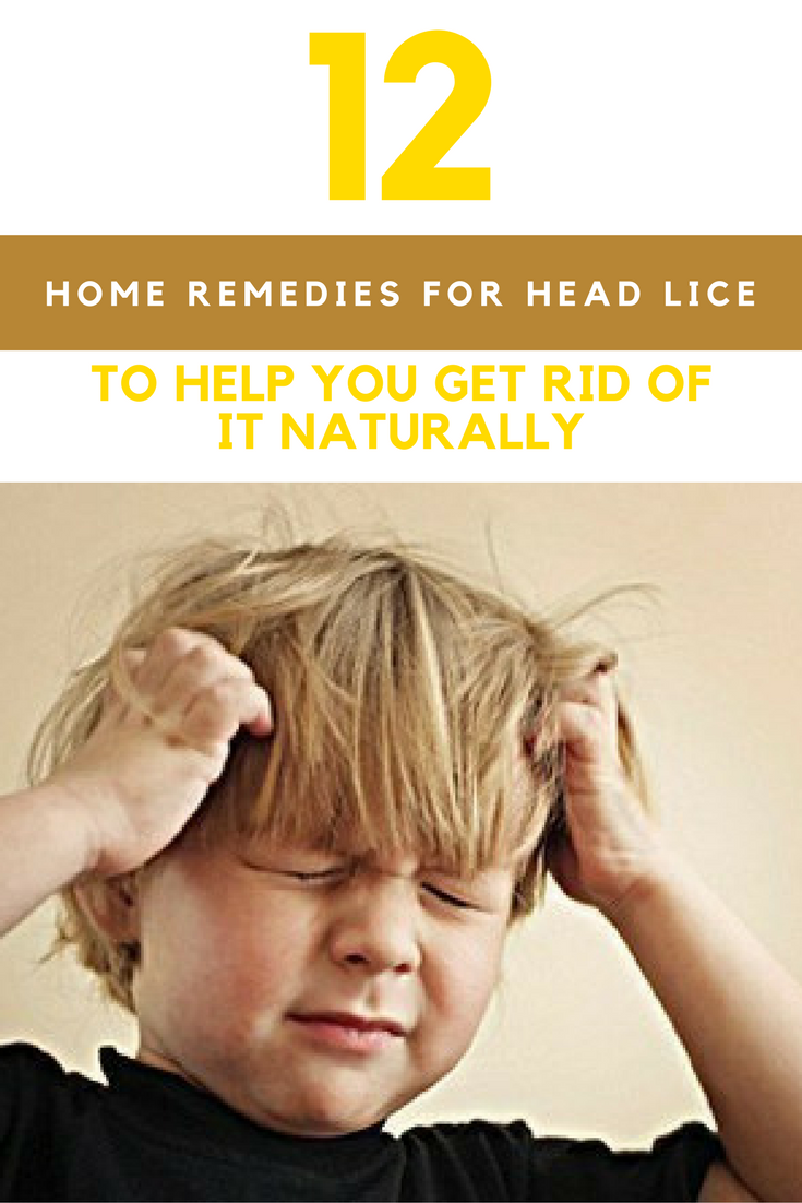 Home Remedies For Lice