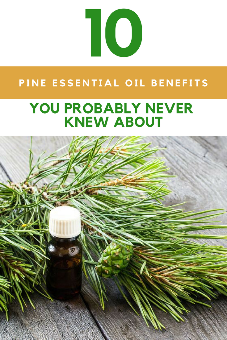 10 Pine Essential Oil Benefits You Never Knew About. | Ideahacks.com