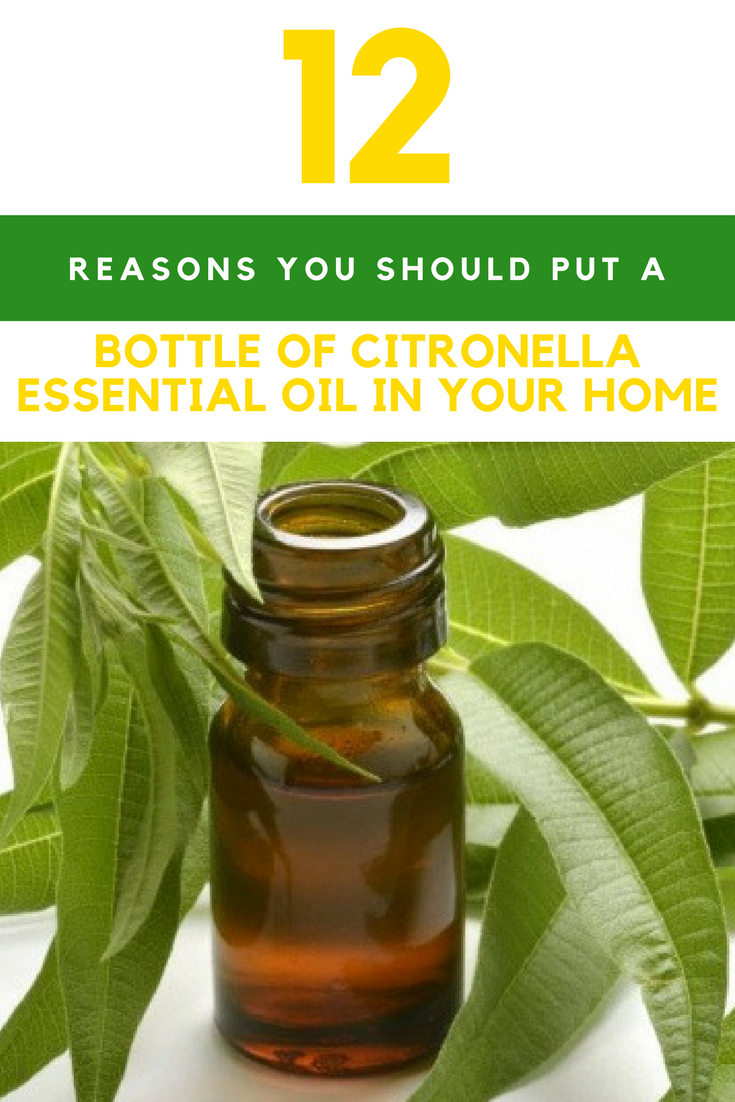 12 Reasons You Should Put A Bottle Of Citronella Essential Oil In Your Kitchen Cabinet. | Ideahacks.com