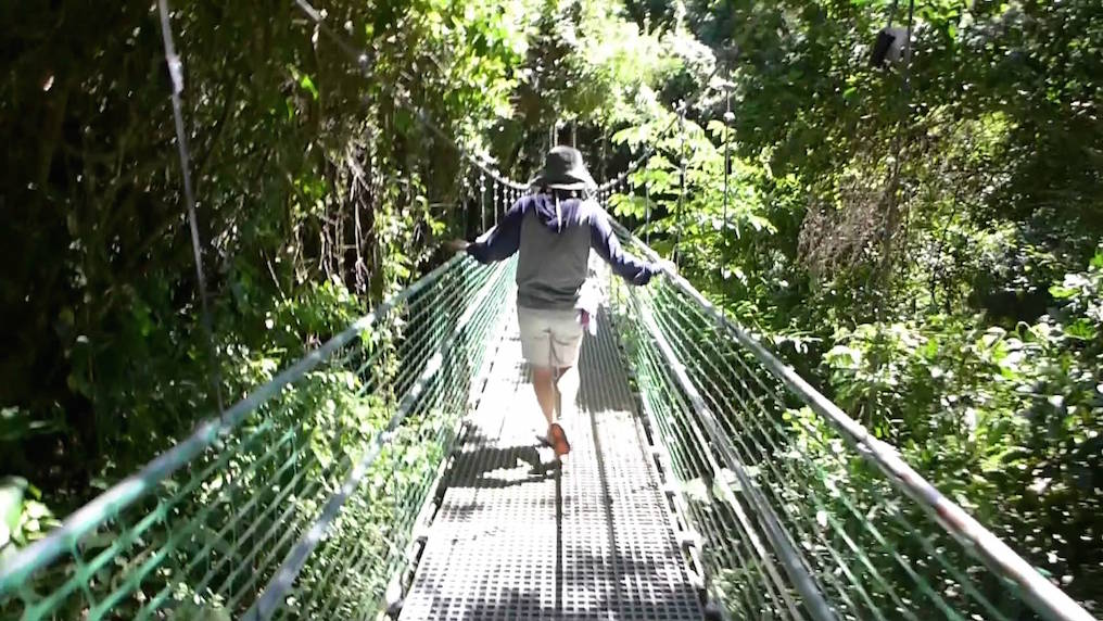 Suspension Bridge Roatan Honduras