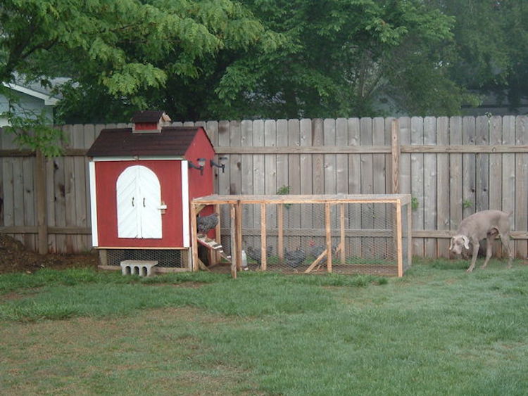 Robb's Backyard Chicken Coop