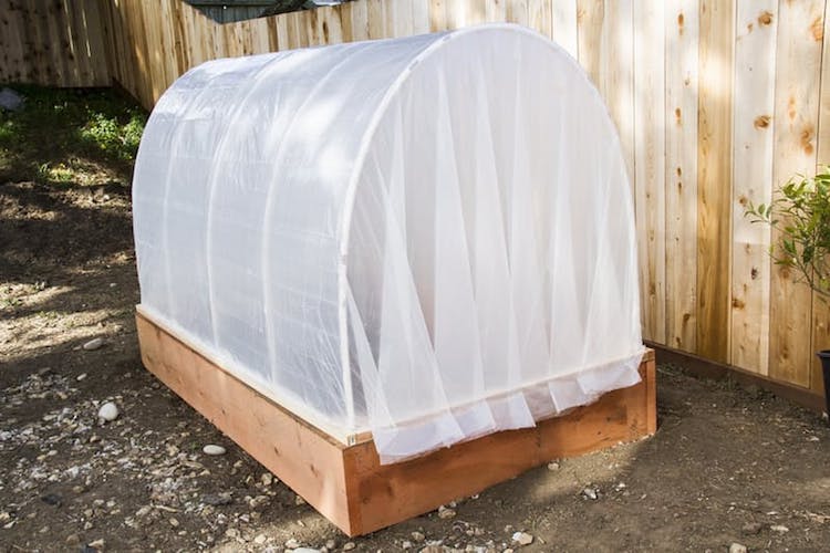 21 Cheap & Easy DIY Greenhouse Designs