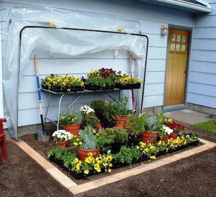 21 Cheap & Easy DIY Greenhouse Designs You Can Build Yourself