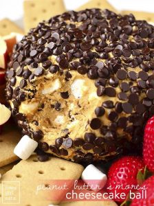 Peanut Butter S'Mores Cheesecake Ball