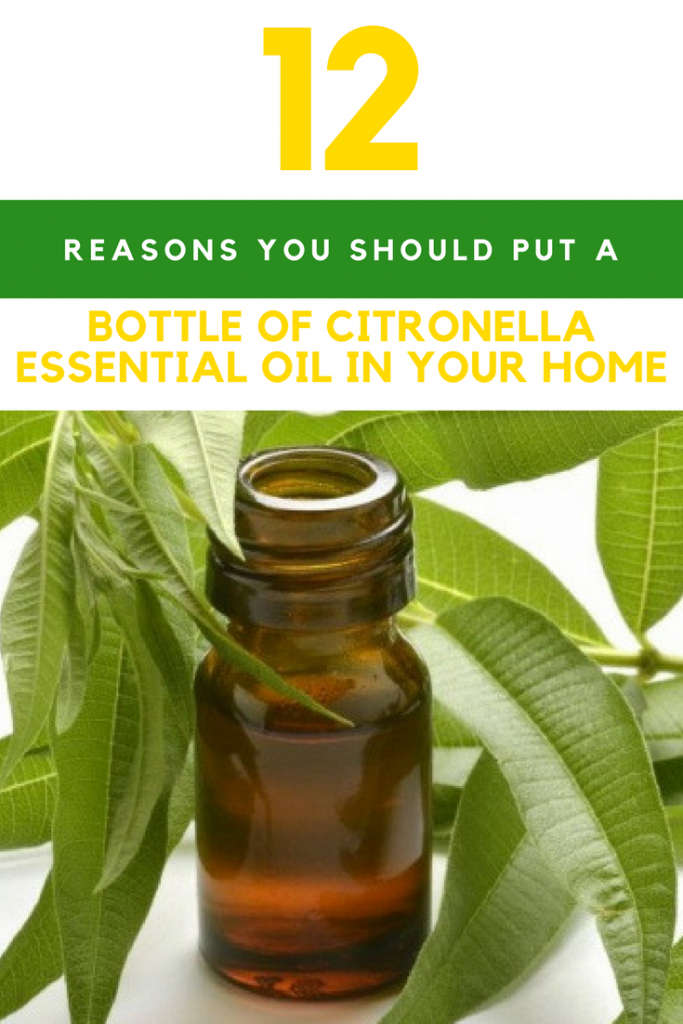 12 Citronella Essential Oil Benefits That You Should Know About