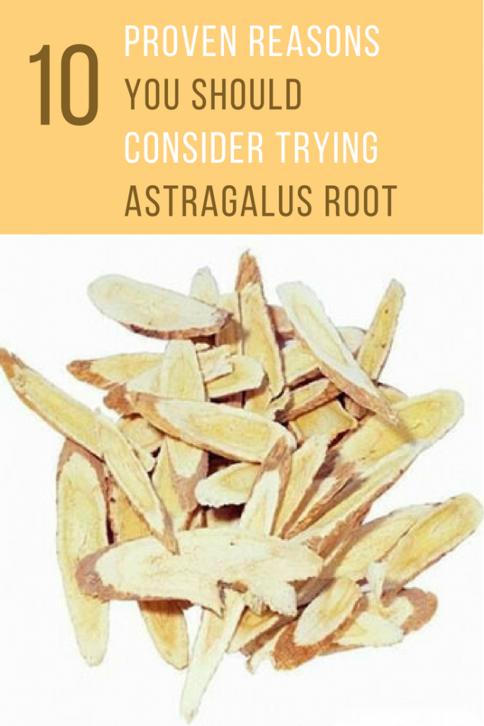 Astragalus Root Benefits 10 Proven Reasons You Should Consider Trying It