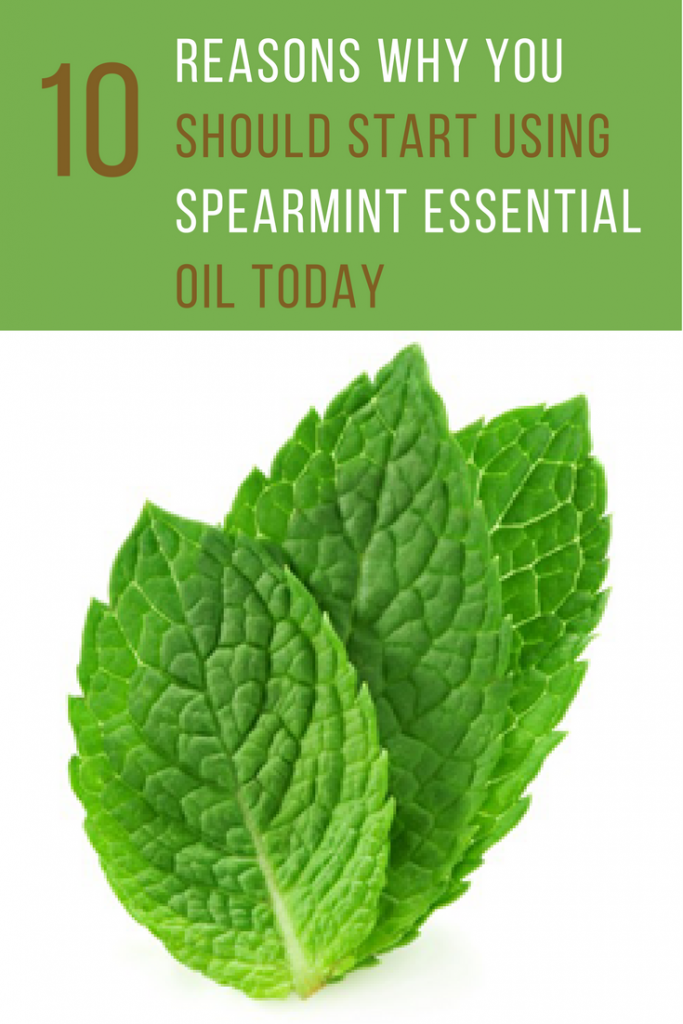 Spearmint Essential Oil Benefits 10 Reasons You Should Have a Bottle