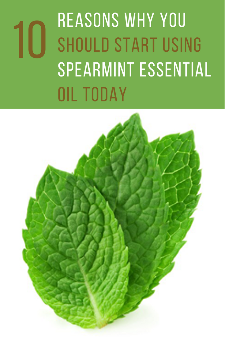 10 Reasons Why You Should Start Using Spearmint Essential Oil. | Ideahacks.com