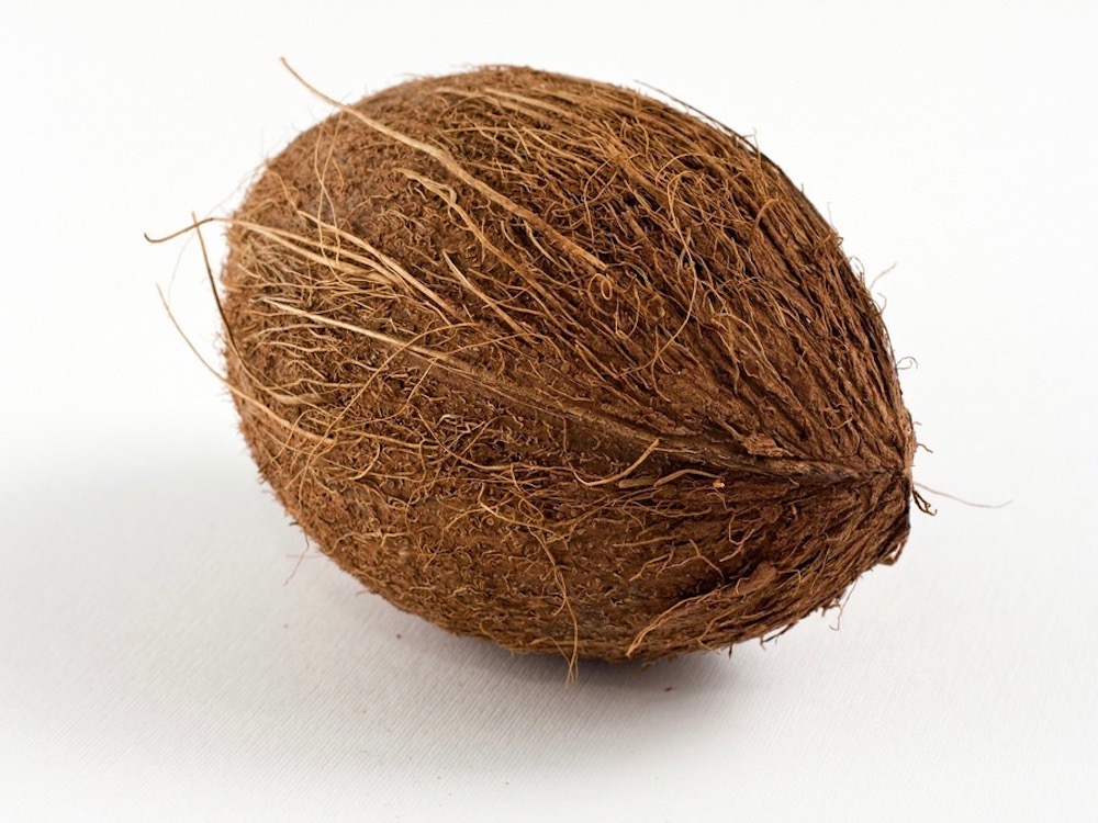 Coconut Aminos Benefits