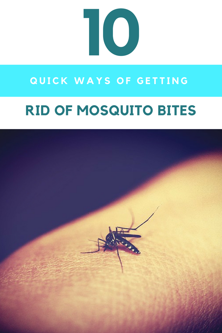 Getting Rid Of Mosquito Bites. | Ideahacks.com
