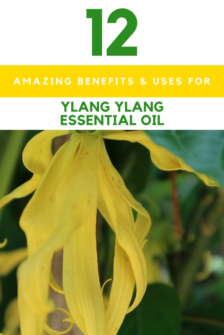 Ylang Ylang Essential Oil: 12 Amazing Benefits & Uses. | Ideahacks.com
