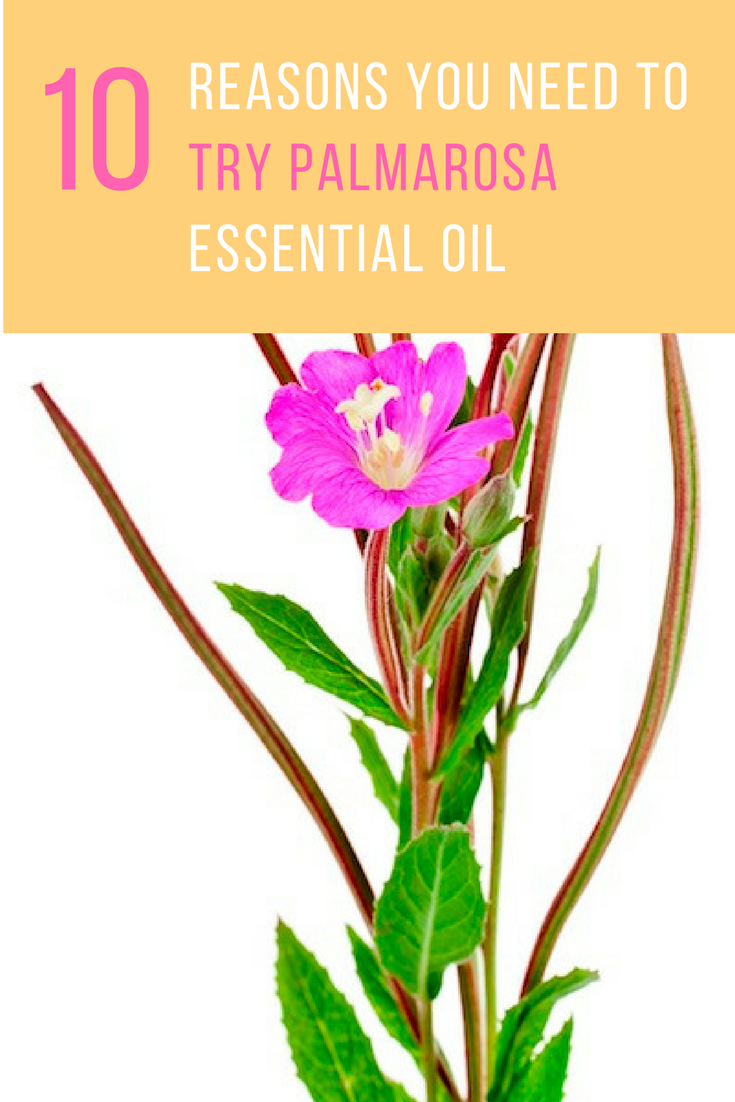 10 Reasons to Love Palmarosa Essential Oil. | ideahacks.com