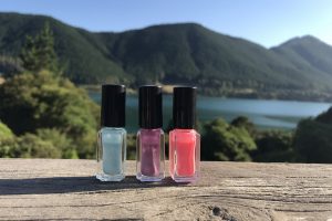 Different Variety of nail polish with a background of a mountain