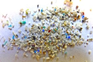Microplastics, which are causing a pollution crisis