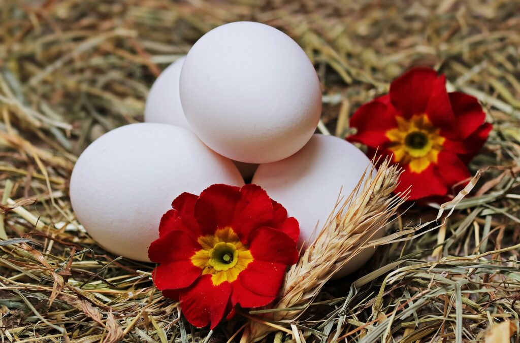 A pile of chicken eggs with with flowers and straw